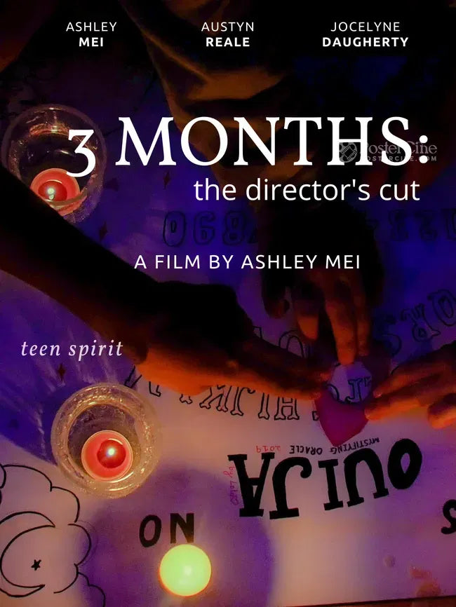 3 Months: The Director's Cut Poster