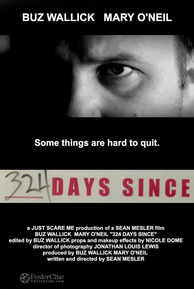 324 Days Since Poster