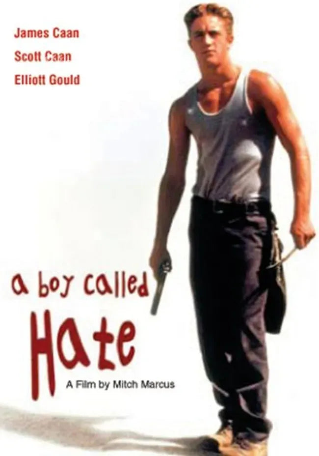 A Boy Called Hate Poster