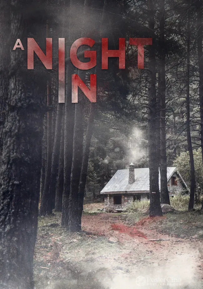 A Night In Poster