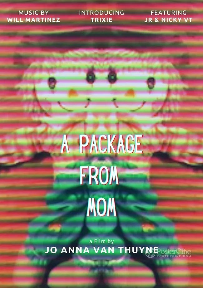 A Package from Mom Poster