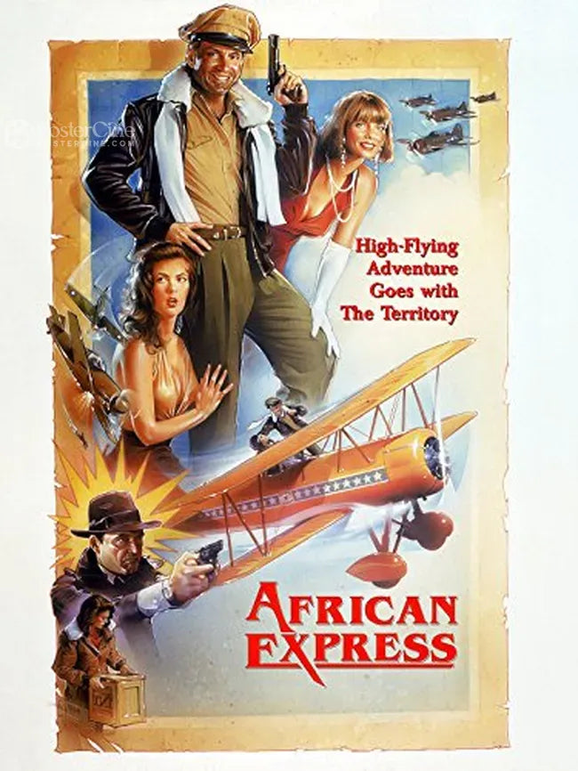 African Express Poster