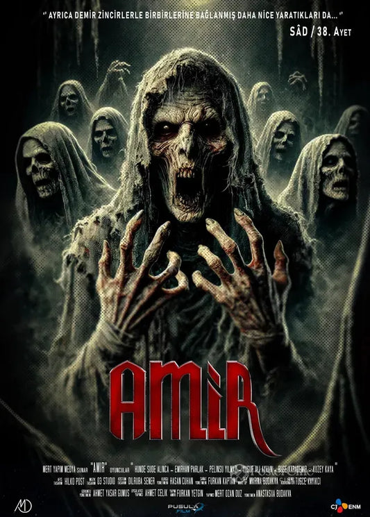 Amir Poster