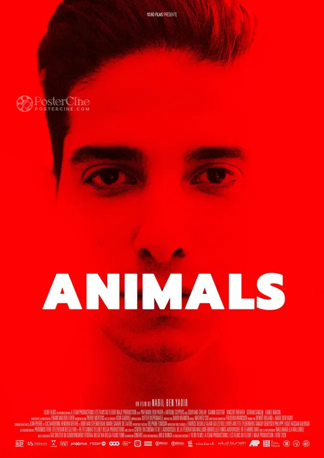 Animals Poster