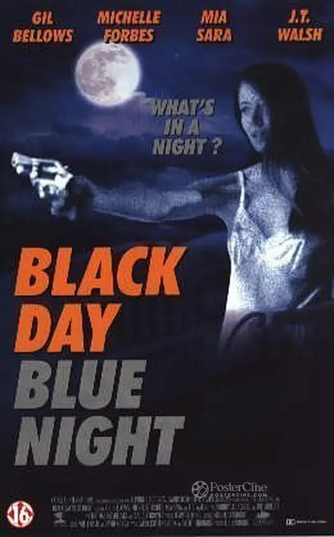 Black Day Blue Night Poster