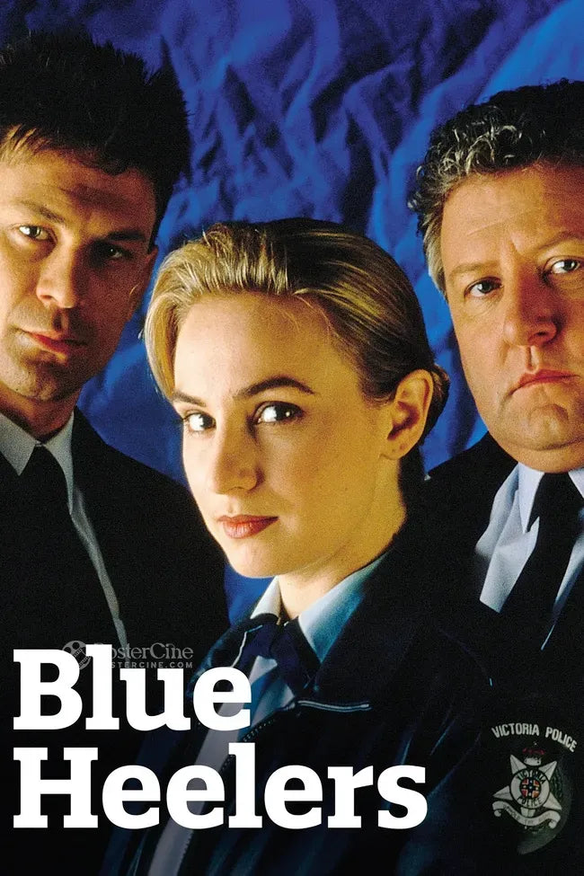 Blue Heelers Poster