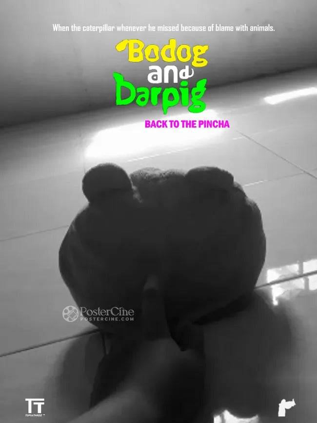 Bodog and Darpig: Back to the Pincha Poster