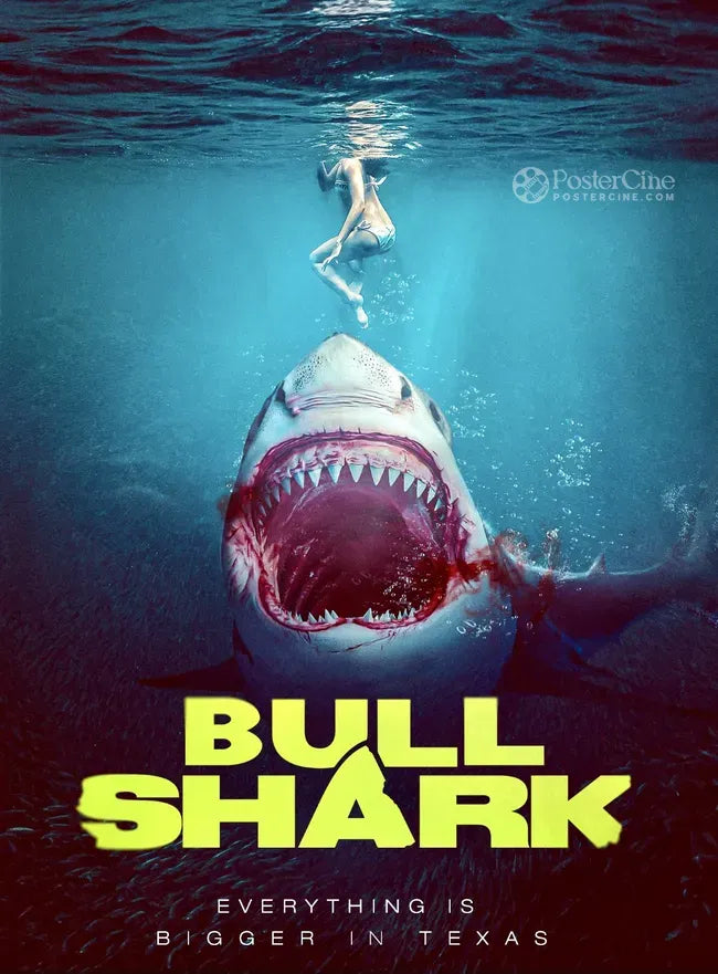 Bull Shark Poster