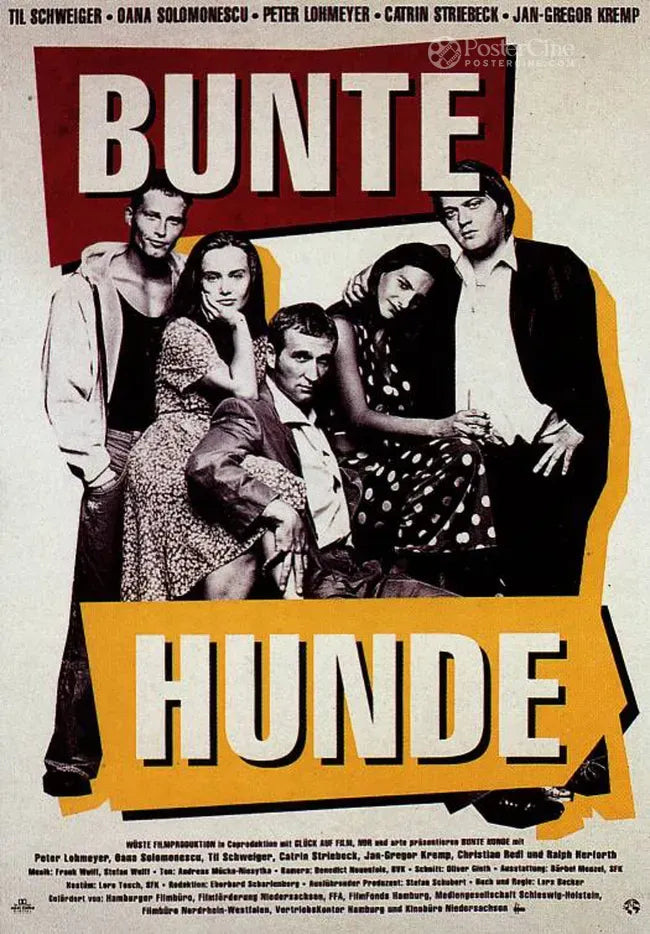 Bunte Hunde Poster