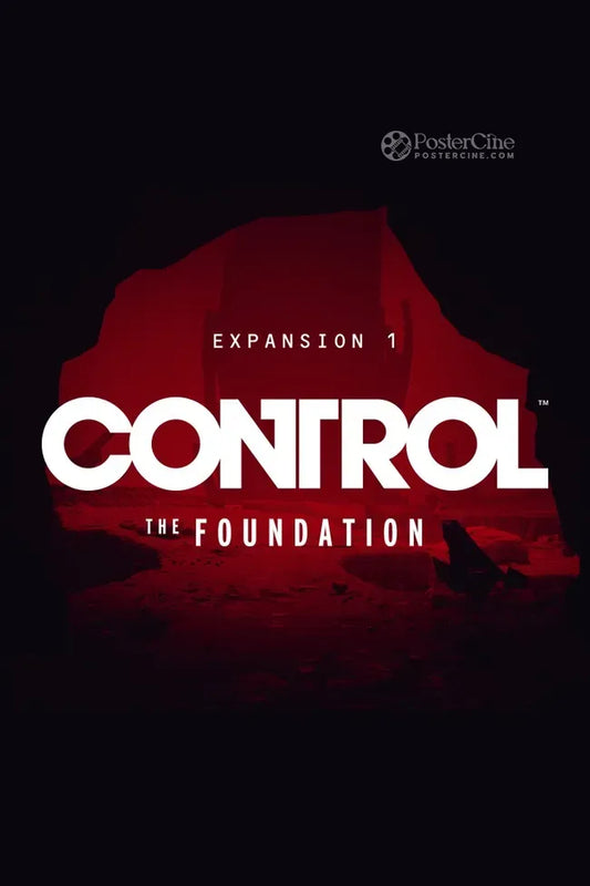 Control: The Foundation Poster