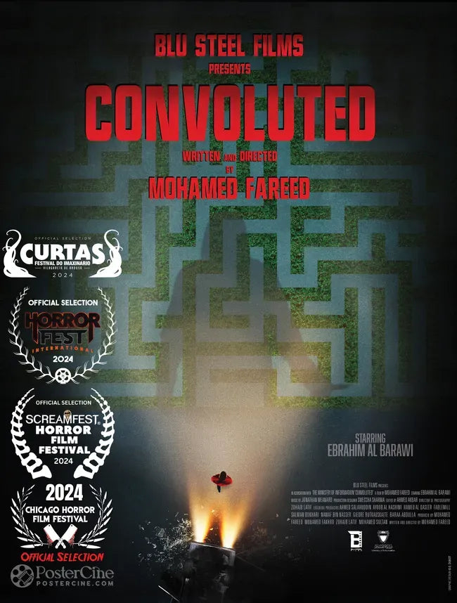 Convoluted Poster