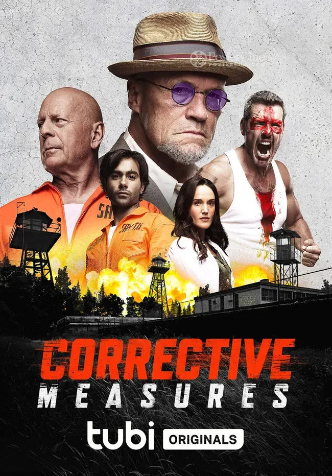 Corrective Measures Poster