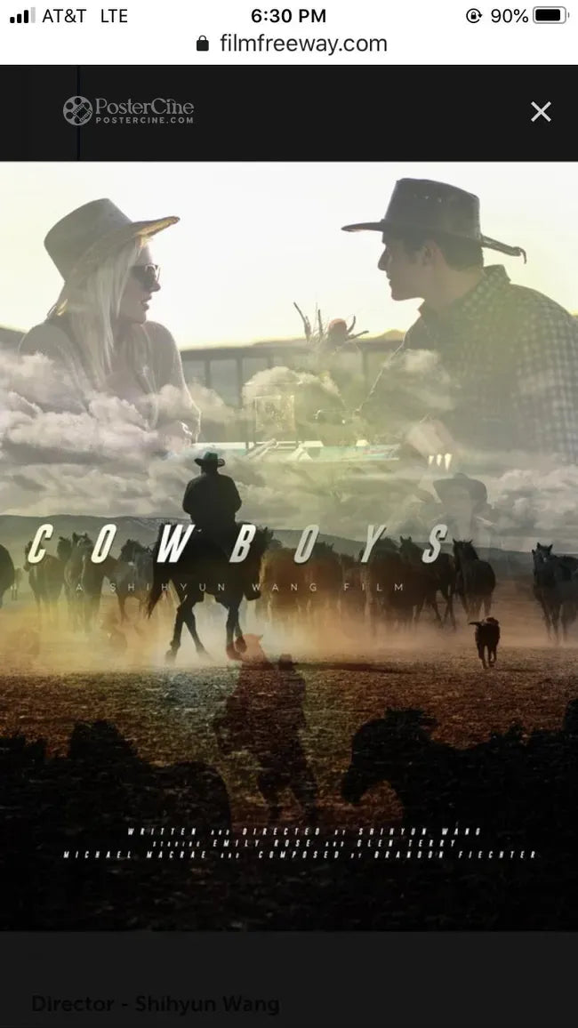 Cowboys - Lost in city Poster