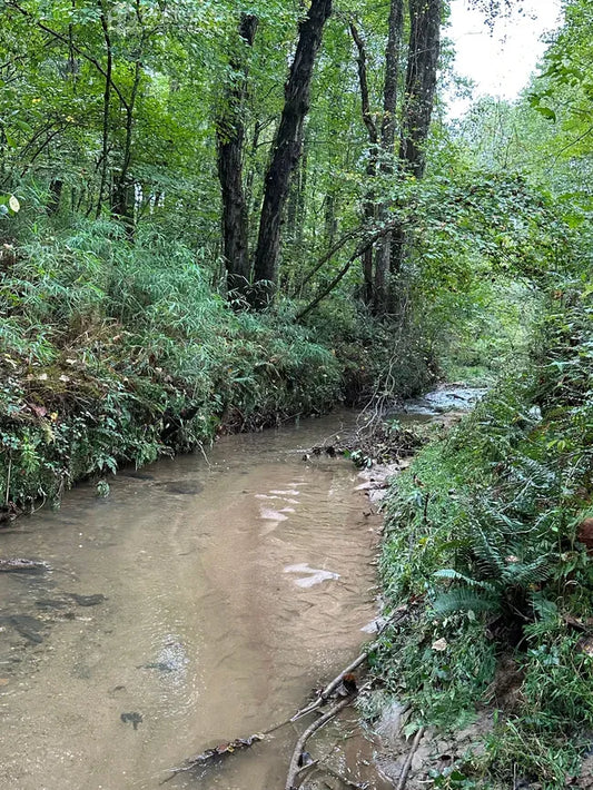 Creek zoomies Poster