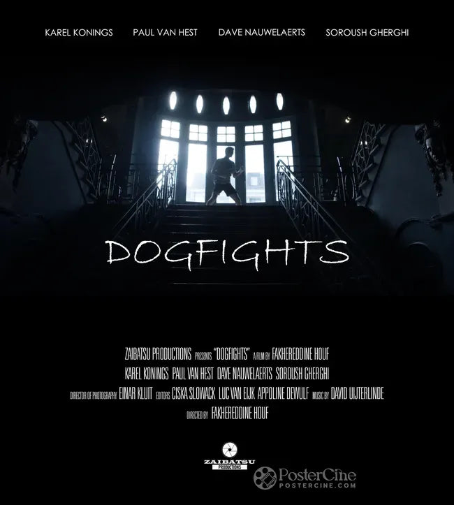 Dogfights Poster