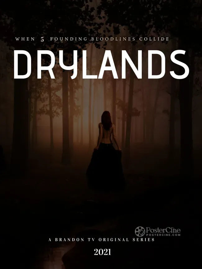 Drylands Poster