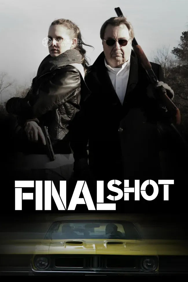 Final Shot Poster