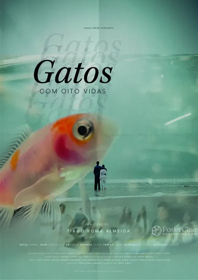 Gatos Com Oito Vidas Poster