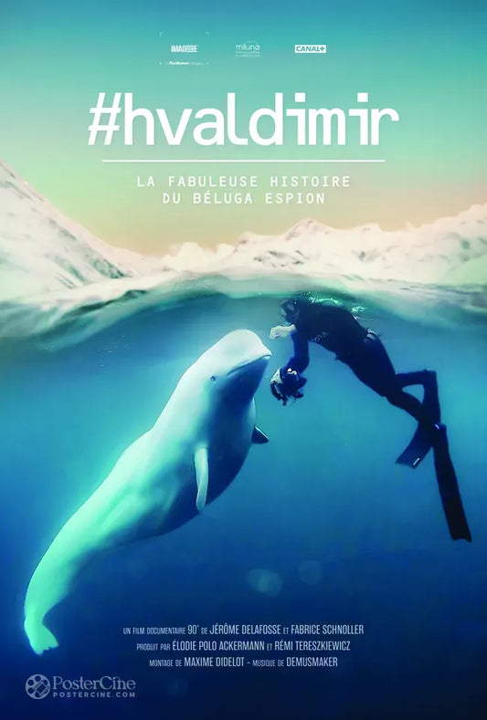 #hvaldimir - La Fabuleuse histoire du beluga espion Poster