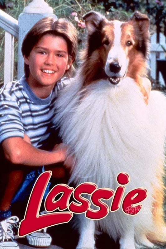 Lassie Poster