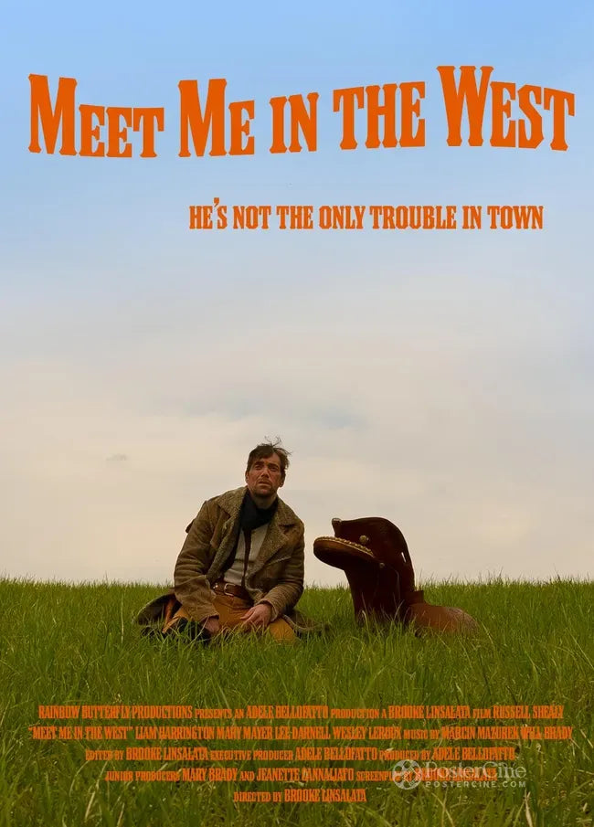 Meet Me in the West Poster