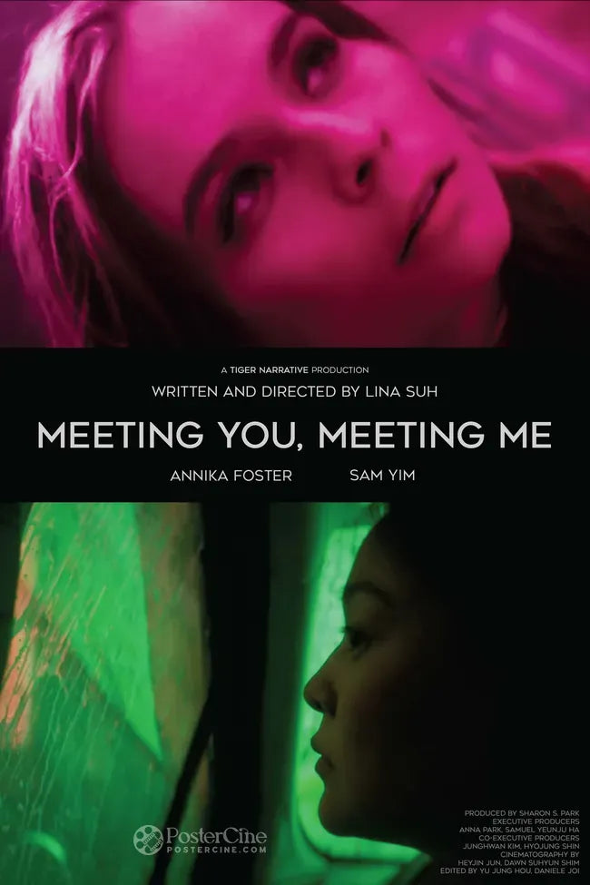 Meeting You, Meeting Me Poster