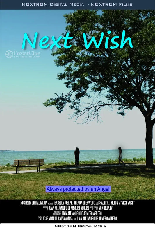 Next Wish Poster