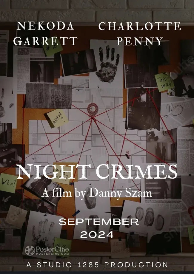 Night Crimes Poster