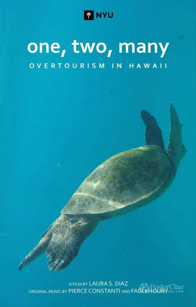 One, Two, Many: Overtourism in Hawaii Poster