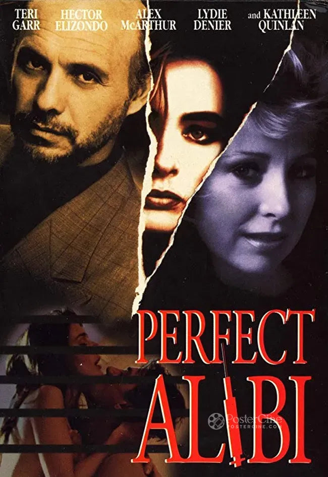 Perfect Alibi Poster