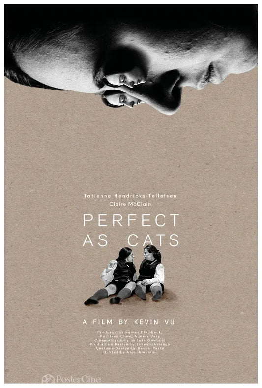 Perfect as Cats Poster