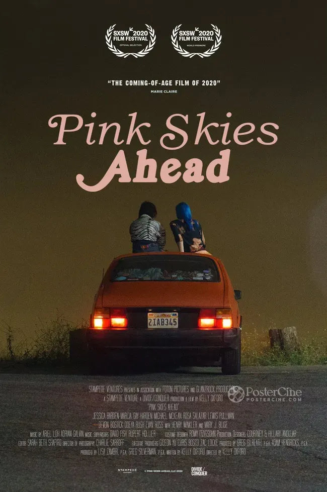 Pink Skies Ahead Poster