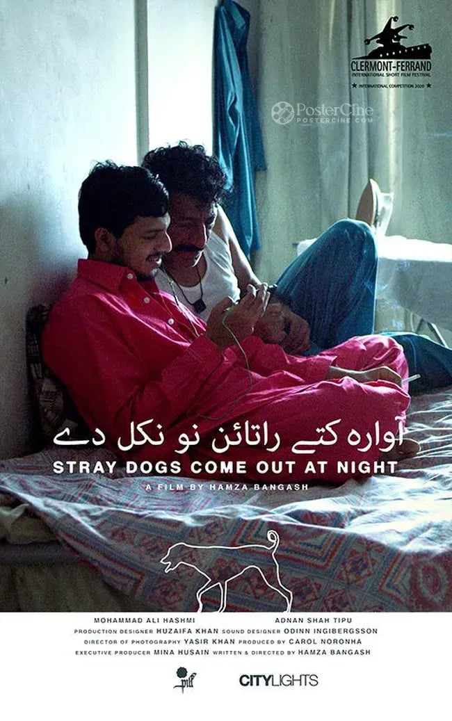 Stray Dogs Come Out at Night Poster