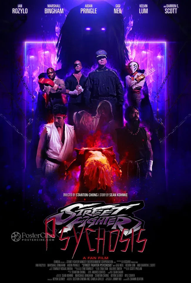 Street Fighter: Psychosis Poster