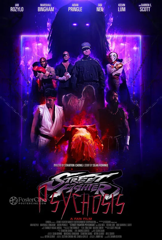 Street Fighter: Psychosis Poster