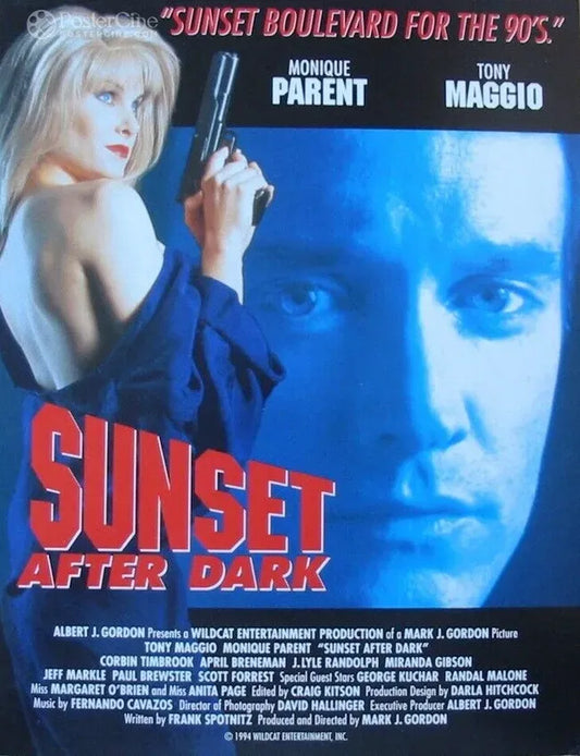 Sunset After Dark Poster