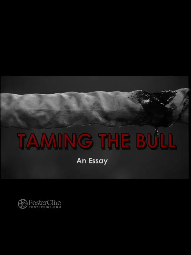 Taming the Bull - An Essay Poster