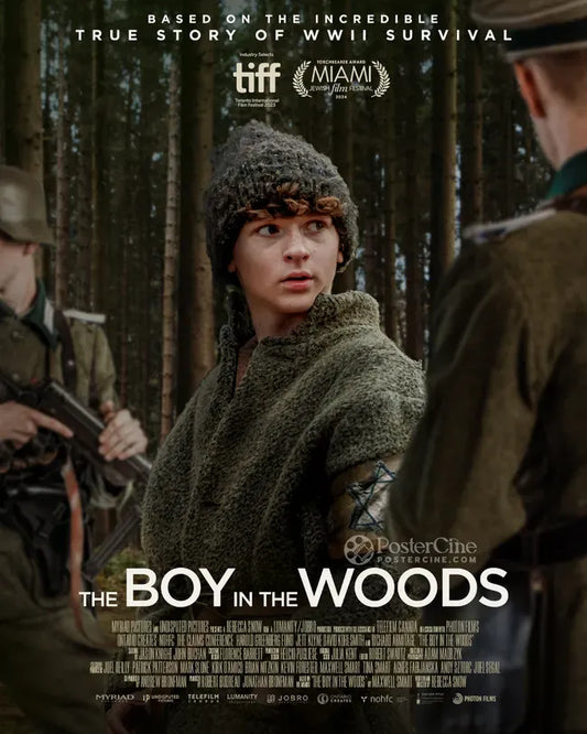 The Boy in the Woods Poster