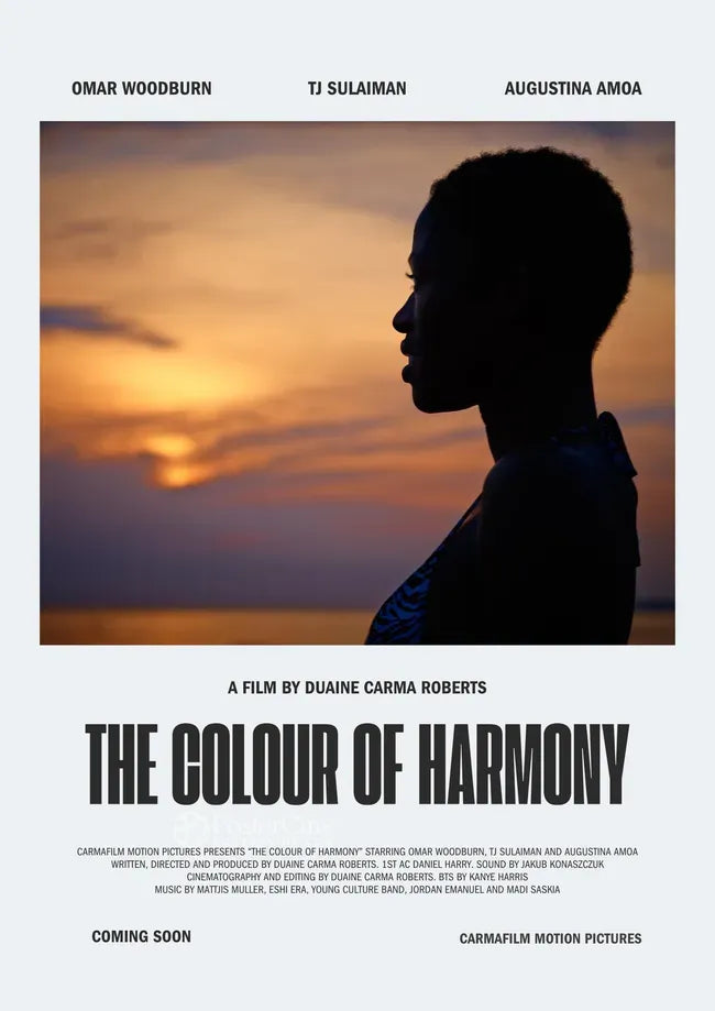 The Colour of Harmony Poster