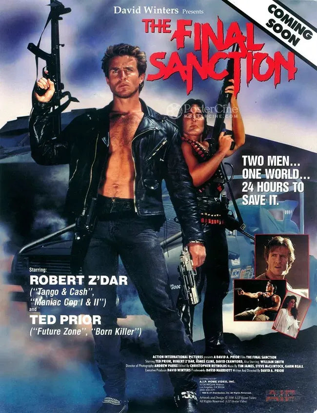 The Final Sanction Poster