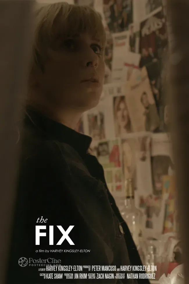 The Fix Poster