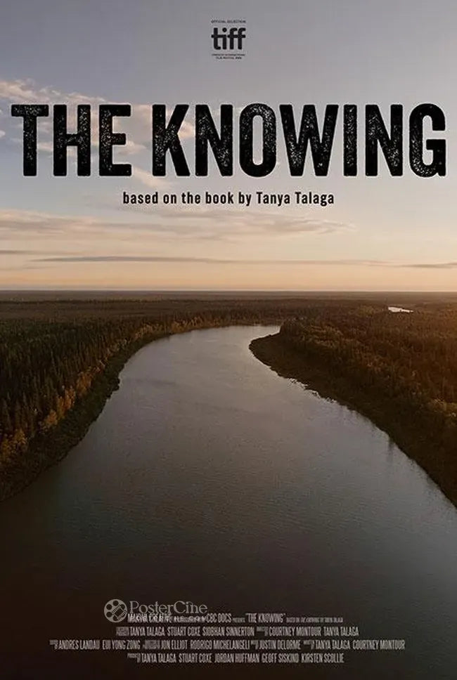 The Knowing Poster