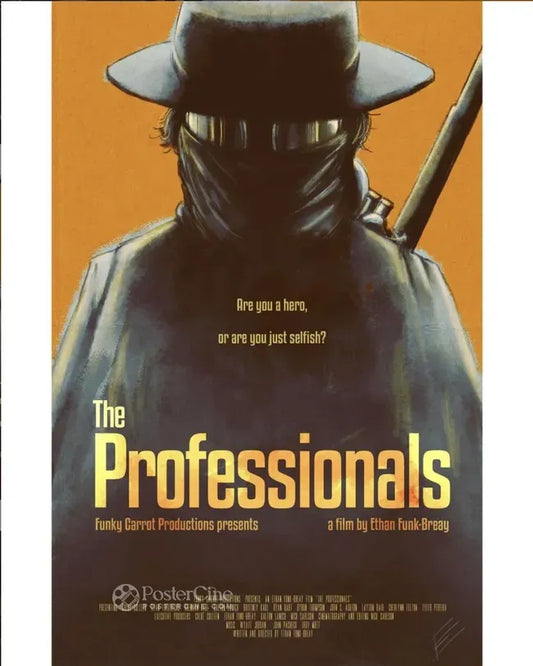 The Professionals Poster