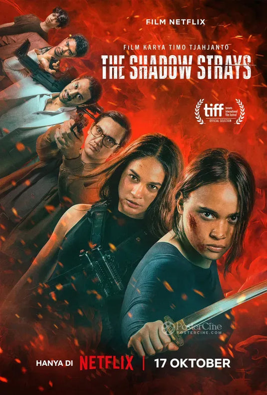 The Shadow Strays Poster