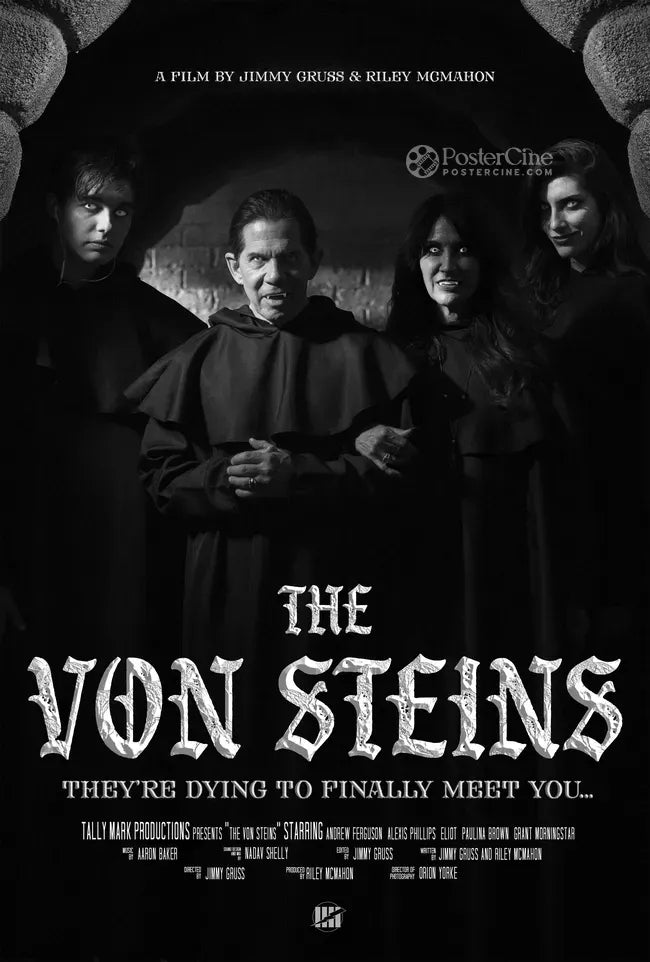 THE VON STEINS Poster