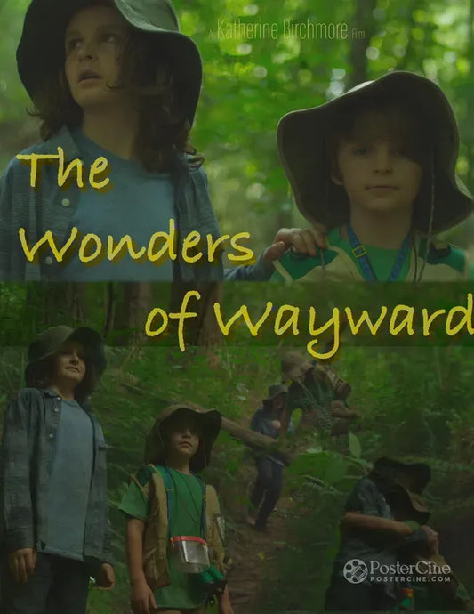 The Wonders of Wayward Poster