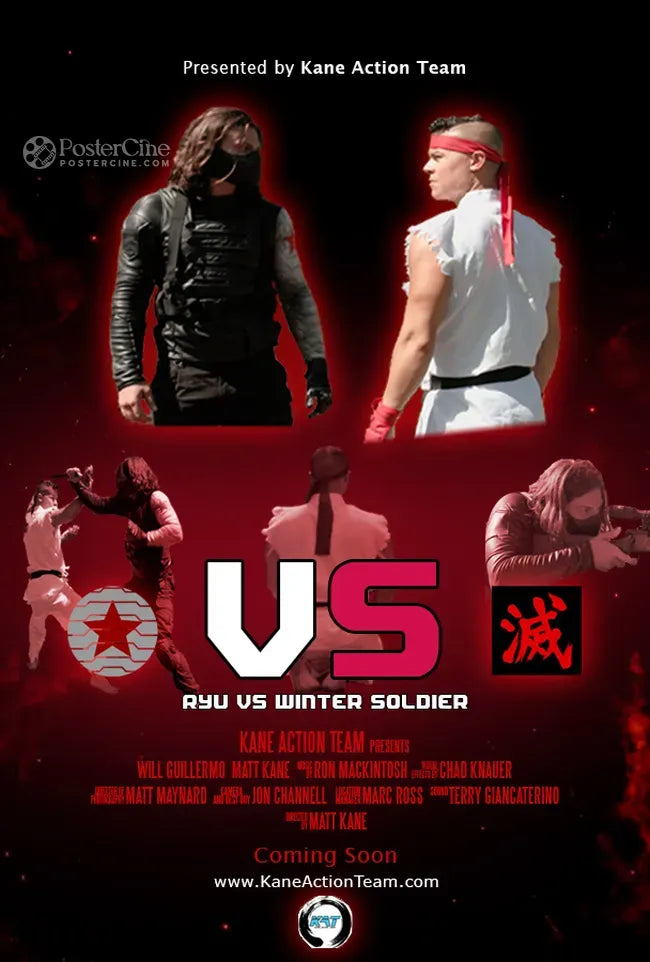 VS: Ryu vs Winter Soldier Poster