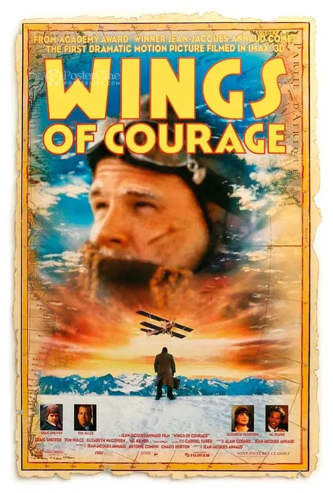 Wings of Courage Poster