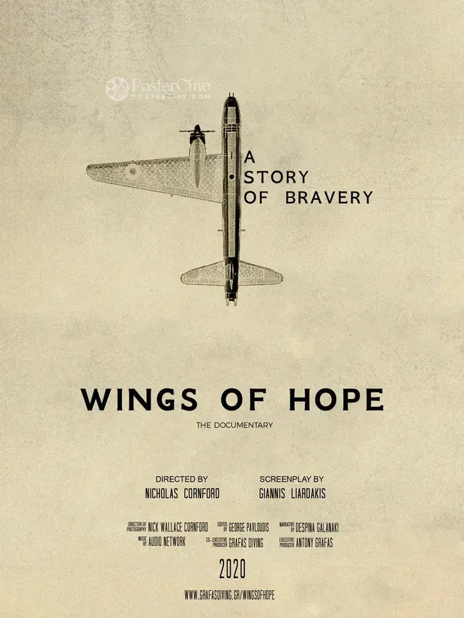 Wings of Hope: A Story of Bravery Poster