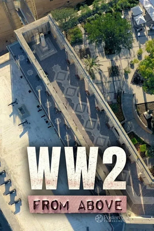 WW2 from Above Poster